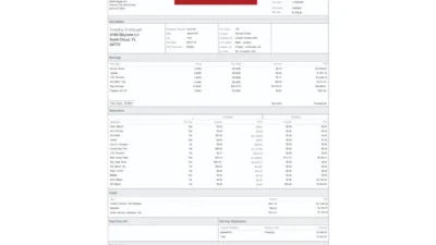 United States Coulson Aviation Paystub Template In Word And PDF Format