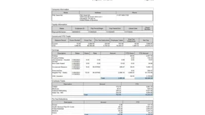 United States Pay Stub Template in Word and PDF Format