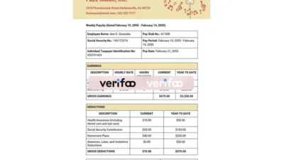 FaZe Music Paystub template