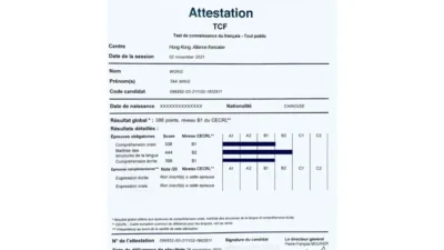 Editable TCF Certificate PSD Template (version2)