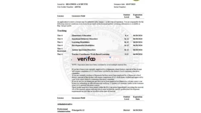 USA Minnesota Professional Educator License Template in word and pdf format