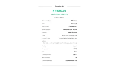 Nigeria OPay Electricity Token Receipt Word And PDF Template