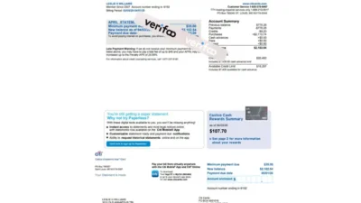 Costco Visa Card account summary Template