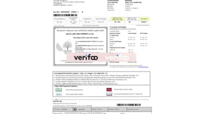Indian Tata Indicom Bill Template