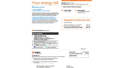 PSEG utility bill pdf template