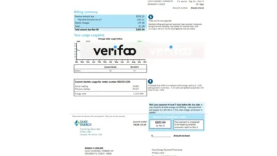 Duke Energy Florida bill template