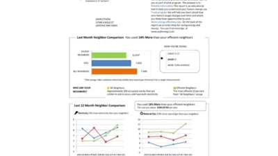 USA Minnesota Xcel Energy Utility Bill Word And PDF Template