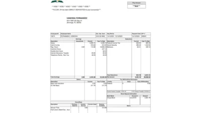 USA Northern California Conference Paystub Word And PDF Template