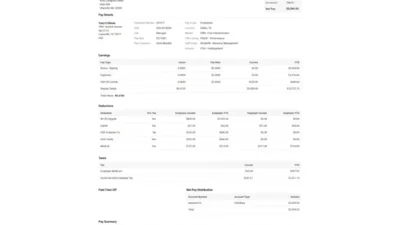 USA FORVIS LLP PayStub Word And PDF Template