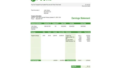 USA Publix Super Markets Inc. supermarket company paycheck Word and PDF template