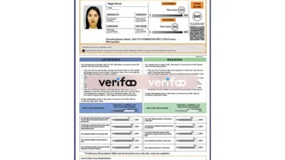 France ETS Official Score Certificate template in Word and PDF format