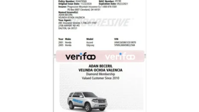 GEORGIA INSURANCE POLICY INFORMATION CARD