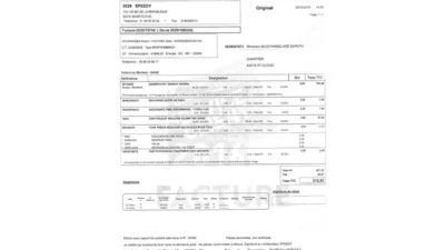France Speedy Invoice Template in word And PDF Format (2 Pages)