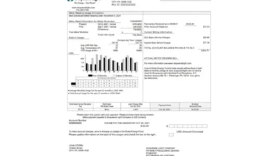 USA Pennsylvania Duquesne Light Company Utility Bill Word And PDF Template