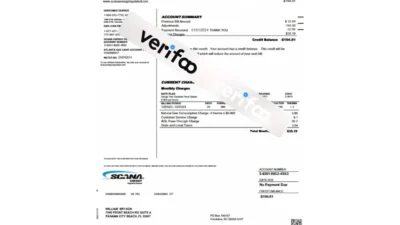 USA SCANA Energy Regulated Division Billing Statement Template