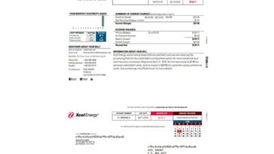 Xcel Energy Utility Bill Template