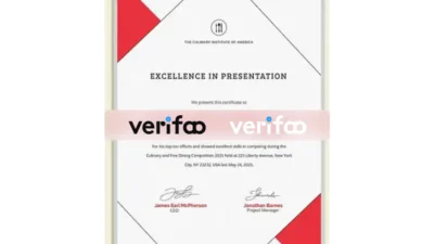 Excellence Award Certificate Template