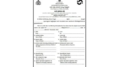 india Birth certificate Template
