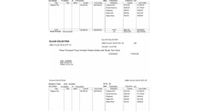 USA ELLA.M COLLECTION Paystub Word And PDF Template
