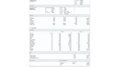 USA RLC LLC Paystub Template In Word And PDF Format