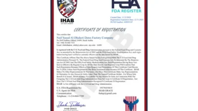 USA business registration certificate V3 Template in Word and PDF template