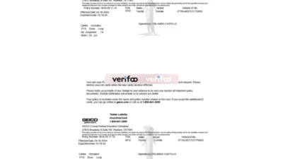 Texas Geico Card Insurance Template in Word And PDF Format