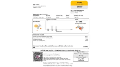 Singapore Pacific Light Electricity Utility Bill Word And PDF Template