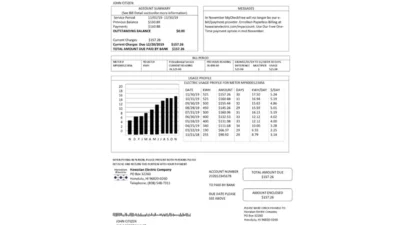 USA Hawaiian Electric Utility Bill Word And PDF Template