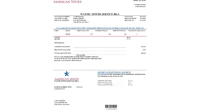 USA Georgia American Water Utility Bill Word And PDF Template