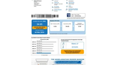 Malaysia Tenaga Nasional electricity utility bill template in Word and PDF format