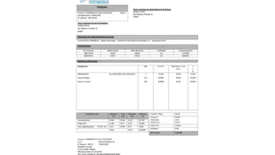 France Energies & Services Sarre-Union electricity utility bill template