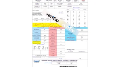 Pakistan Electric Utility Bill Template