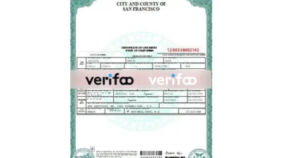 San Francisco Birth certificate template