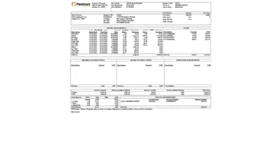 USA Piedmont Healthcare PayStub Word And PDF Template