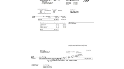 USA AMELLIA INC ADP Payroll Paystub Template In Word And PDF Format