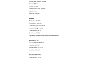 USA Ameriprise Financial Services Paystub Template In word And PDF Format