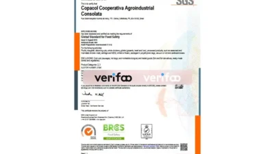 Brazil certificate of registration Template in Word And PDF Format
