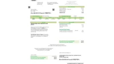USA Ohio Lorain-Medina Rural Electric Utility Bill Word And PDF Template