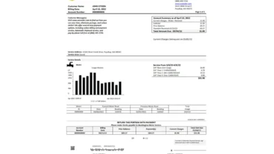USA Washington Water Service utility bill template in Word and PDF format