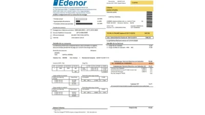Argentina Edenor easy to fill utility bill template