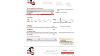 Angola LNG proof of address utility bill template