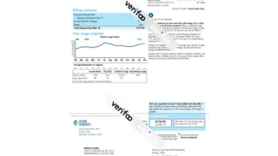 Florida Duke Energy Bill Template
