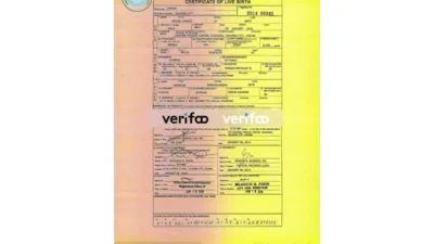 Philippines birth certificate template v2
