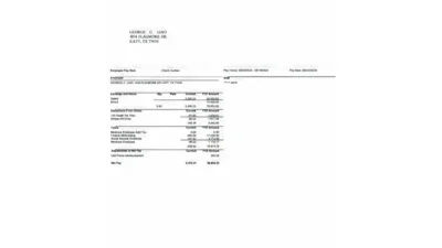 USA Sunho Foods LLC Pay Stub Word And PDF Template
