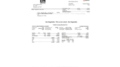 USA Vehicle Leasing Paystub Word And PDF Template