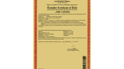 Philippines Transfer Certificate of Title Template in word and pdf format