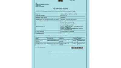 Kenya business license pdf template