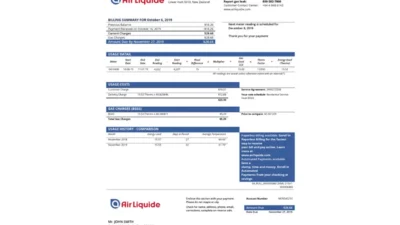 New Zealand Air Liquide Gas Utility Bill Template In Word And PDF Format