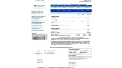 USA Texas TriEagle utility bill template