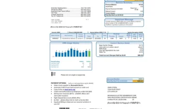 USA North Carolina Brunswick Electric Utility Bill Word And PDF Template